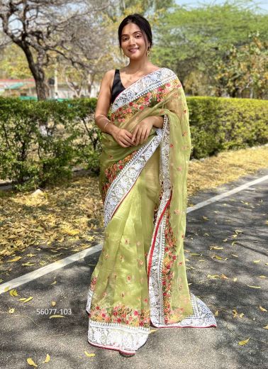 Olive Green Organza Chikankari-Work Party-Wear Boutique-Style Saree